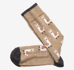 Novelty Socks - 04430033